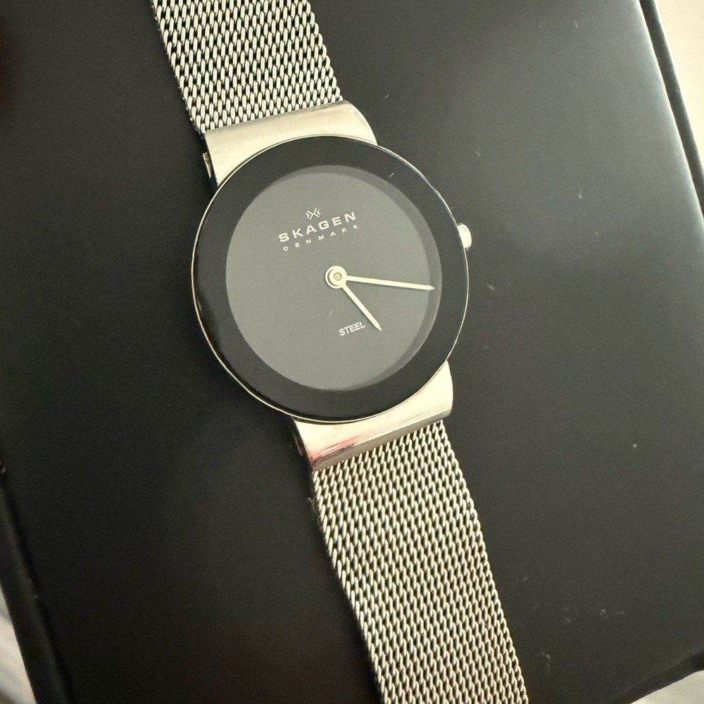 Skagen Stainless Steel Mesh Watch